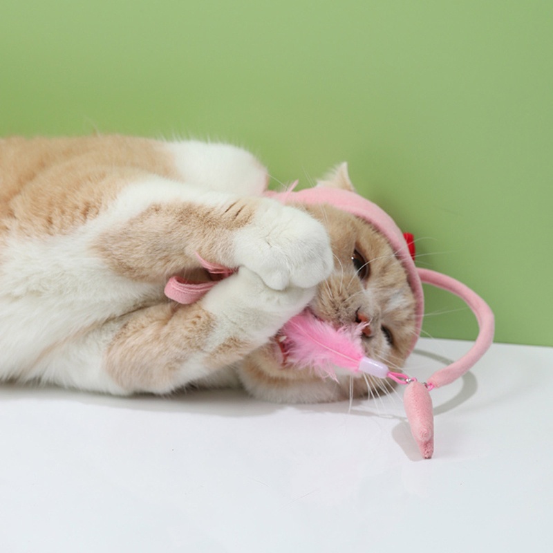 พร้อมส่งจากไทย-หมวกของเล่นแมว-ไม้ล่อแมว-แบบมีพู่-หมวกสัตว์เลี้ยง