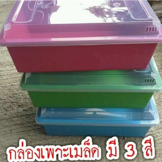 ภาพหน้าปกสินค้ากล่องเพาะ 3 ใบ 100 บาท ซึ่งคุณอาจชอบสินค้านี้