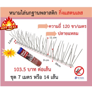 หนามไล่นก หนามกันนก bird spike หนามสแตนเลส  bird spike จำนวนขาพิเศษ 120 ขา ปลายเเหลม (ราพิเศษถึงสิ้นเดือนนี้)