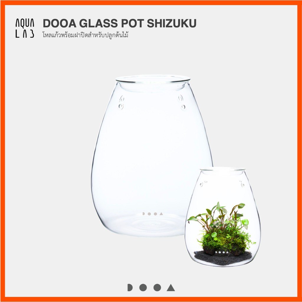 ภาพหน้าปกสินค้าDOOA GLASS POT SHIZUKUโหลแก้วพร้อมฝาปิดสำหรับปลูกต้นไม้