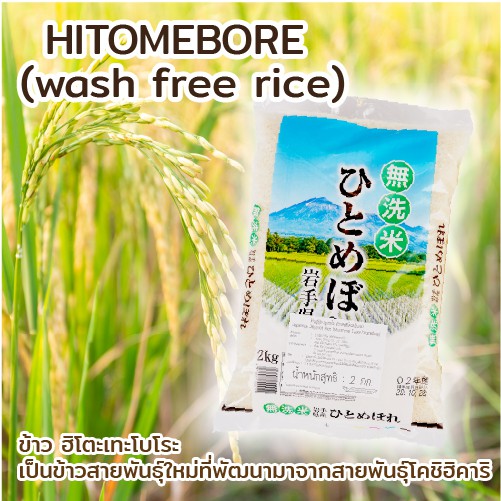 hitomebore-wash-free-rice-ข้าวญี่ปุ่นฮิโตะเมะโบเระ