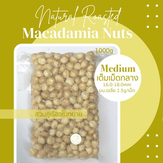 แมคคาเดเมีย อบพร้อมทาน เต็มเม็ดกลาง A1 ยกลัง (5KG) Macadamia nuts