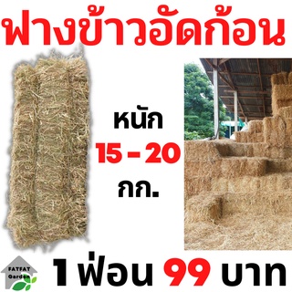 ฟางข้าวอัดก้อน ฟาง ฟางข้าว หนักเฉลี่ย 15-20 กก. ส่งจากนครปฐม ราคาหน้าสวน สวนมาเอง ไม่ชื้น ไม่เก่า ไม่ขึ้นรา