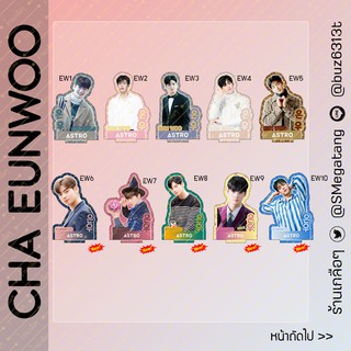 สแตนดี้ ชาอึนอู Cha eun woo ขนาด 10-11cm