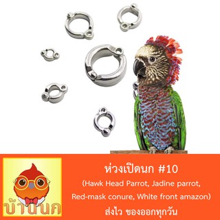 ห่วงเปิดนก #10 ห่วงขานก  แหวนนก (Hawk Head Parrot, Jadine parrot, Red-mask conure, White front amazon)