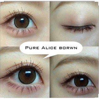 คอนแทคเลนส์ 🎊Pure Alice Brown🎊 (Beautylens)[มีค่าสายตาสั้นถึง550] สีน้ำตาลขนาดมินิธรรมชาติลาย Original