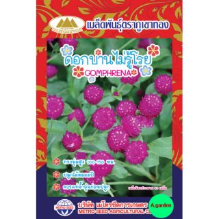 เมล็ดพันธ์​ ดอกบานไม่รู้โรยสีม่วง ( GOMPHRENA ) แพ็ค​ 10​ ซอง