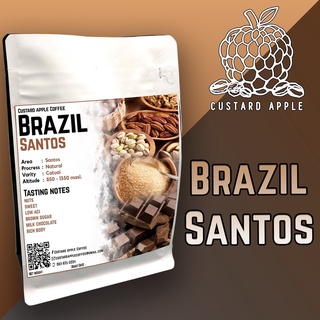 เมล็ดกาแฟคั่ว บราซิล (Brazil Santos)