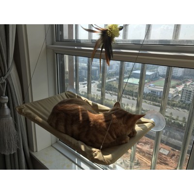 ภาพสินค้า️เปลแมว ที่นอนแมว บ้านแมว เปลติดกระจก เปลแมวติดกระจก ️ จากร้าน ratimapeem บน Shopee ภาพที่ 7