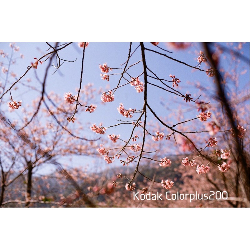 ภาพหน้าปกสินค้าฟิล์มสี โกดัก Kodak Colorplus 200 หมดอายุ 08/2025 135- 36 รูป จากร้าน for.e.mor บน Shopee