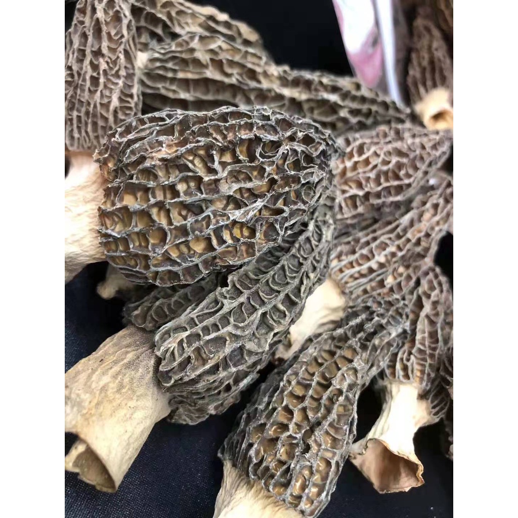 เห็ดมอเรล-ขนาด50กรัมหือ100กรัมหรือ250กรัม-พร้อมส่ง-ไซร้ใหญ่-ราชินีเห็ดป่า-ป้องกันโรคหัวใจ-ยาชู