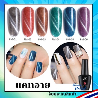 สีเจล แคทอาย กำมะหยี่  Cat-Eye สีทาเล็บ แบรนด์ดัง AS 15ml. PM Set ยาทาเล็บ สต๊อคในกทม. พร้อมส่ง 1 วันเท่านั้น