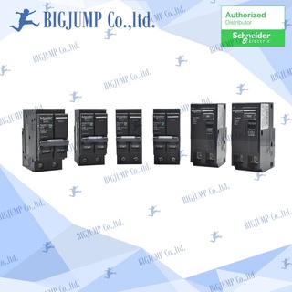 เมนเบรกเกอร์ชไนเดอร์ MCB 2โพล10 kA ขนาด 16 -100A รุ่น QOVS และ QOMBX  MCB 2P Schneider electric IEC 898 ,947