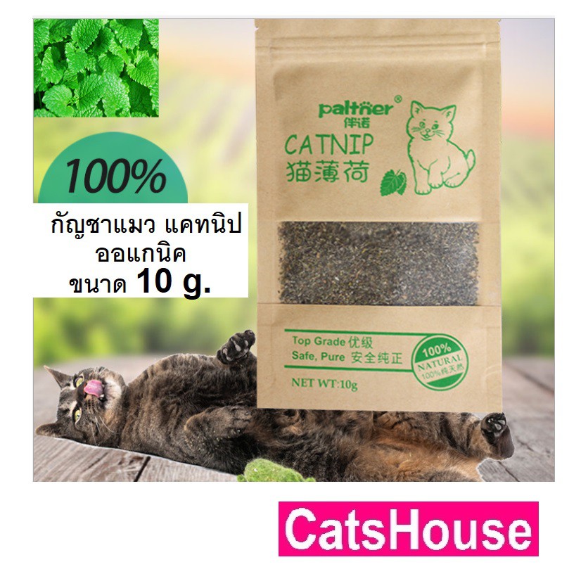 กัญชาแมว-แคทนิป-catnip-ของเล่นแมว-แคทนิปแบบหอม-ขนาด-10-กรัม-ของใช้แมว