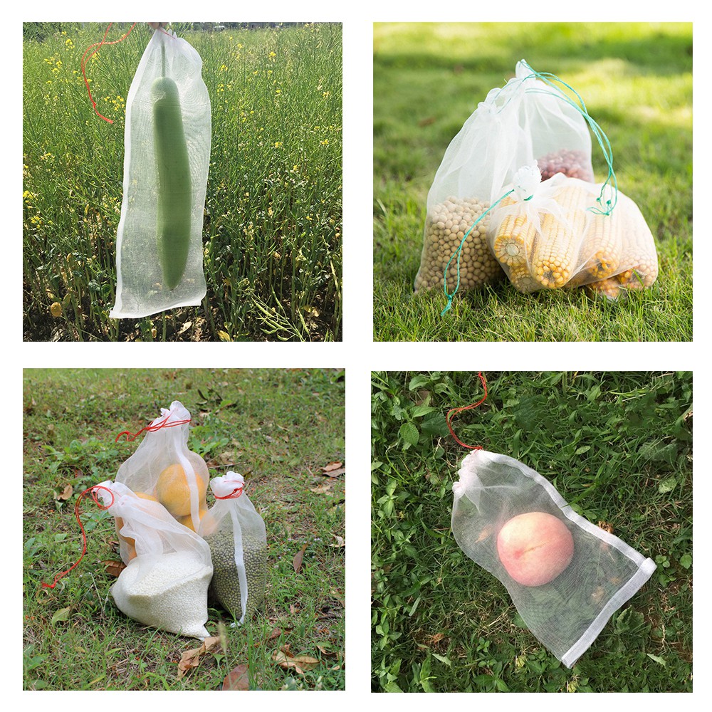 ถุงห่อผลไม้-ถุงกันแมลง-แบบตาข่ายมีหูรูด-ขนาด15x10ซม-จำนวน-10-ใบ-ลดราคาพิเศษ-10pcs-15x10cm-nylon-garden-protection-bag-plant-seed-bag-anti-bird-mosquito-net-bag-vegetable-and-fruit-protection-net-breed