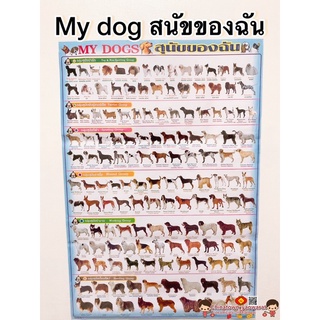 โปสเตอร์ my dog สุนัขพันธุ์ต่างๆ 🌈โปสเตอร์สื่อการเรียนรู้ สูตรคูณ ท่องจำ ลูกหมา หมา โลกน่ารู้ ทาสหมา ทาสแมว