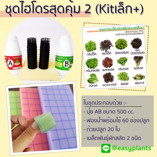 ชุดปลูกผัก สลัด ไฮโดรโปนิกส์ DIY สุดคุ้ม 2 (Kit เล็ก Plus)