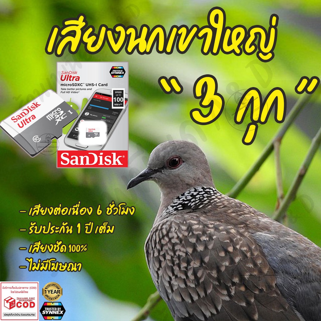 เสียงต่อ-นกเขาใหญ่-3กุก-ยาว6ชั่วโมง-ไม่มีโฆษณา-เมมโมรี่เล็ก-micro-sd-มีเก็บเงินปลายทาง