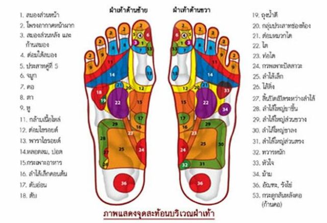 ที่นวดเท้า-กะลานวดฝ่าเท้า-กะลานวดเท้า-กะลาเหยียบแก้ปวดเมื่อย-มีคลิปวิธีใช้ส่งให้ทางแชทค่ะ