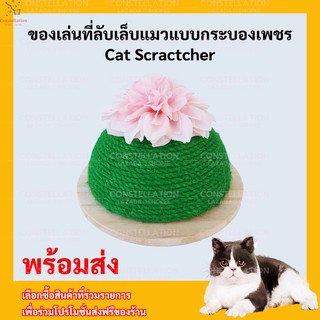 ของเล่นแมว ของเล่นลับเล็บ ที่ฝนเล็บ ที่ฝนเล็บแมว ที่ลับเล็บแมว ที่ข่วนเล็บแมว ป้องกันการขีดข่วนโซฟา สำหรับแมวทุกวัย