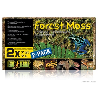 ภาพหน้าปกสินค้า(พร้อมส่ง)Exoterra Forest Moss มอสธรรมชาติสำหรับรองพื้น มอสเลี้ยงสัตว์ ซึ่งคุณอาจชอบราคาและรีวิวของสินค้านี้