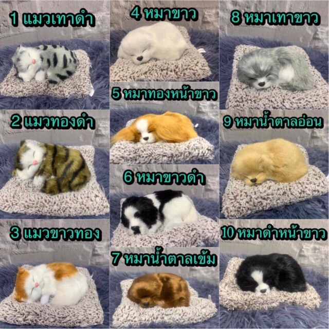 ลดราคา-ตุ๊กตาดับกลิ่นในรถยนต์-น้องหมา-น้องแมว-น่ารักมาก