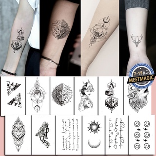 Kit de Tatuagem Tattoo Mandrake - Masterflashh - Kit Tatuagem - Magazine  Luiza