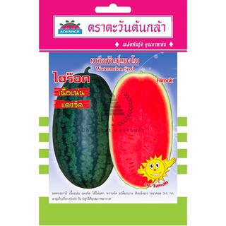 เมล็ดพันธุ์ แตงโม ไฮร๊อค 1 กรัม/ซอง ตราตะวันต้นกล้า