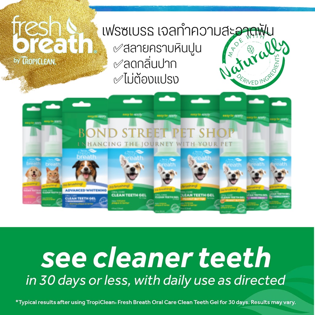 fresh-breath-เจลทำความสะอาดฟัน-สุนัขและแมว-ไม่ต้องใช้แปรง-ใช้ง่าย-น้องหมาแปรงยากใช้ได้