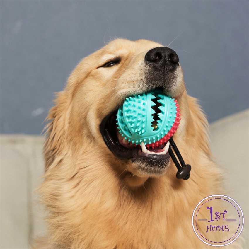 a673-ที่กัดฟันกรามสุนัข-ของเล่นหมา-บอลเชือกดึง-dog-toy