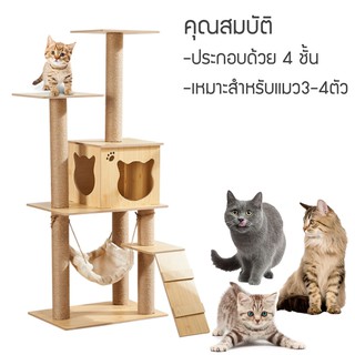 ภาพขนาดย่อของภาพหน้าปกสินค้า(พร้อมส่ง) Y103 คอนโดแมว ไม้ทั้งหลัง สูง122cm พร้อมเปล ที่ลับเล็บแมว เสาลับเล็บแมวได้ จากร้าน youpinclud บน Shopee ภาพที่ 7
