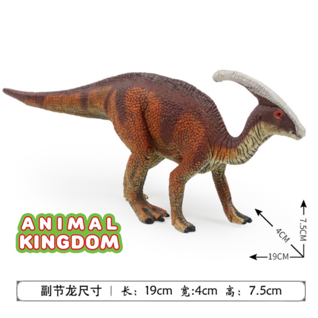 animal-kingdom-โมเดลไดโนเสาร์-parasaurolophus-น้ำตาล-ขนาด-19-00-cm-จากหาดใหญ่