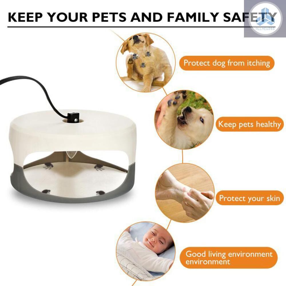 sticky-flea-trap-dome-flea-bed-bug-trap-with-2-glue-discs-odorless-non-toxic-flea-killer-trap-pad-flea-trap-light-children-and-pets-friendly-japanese-plug