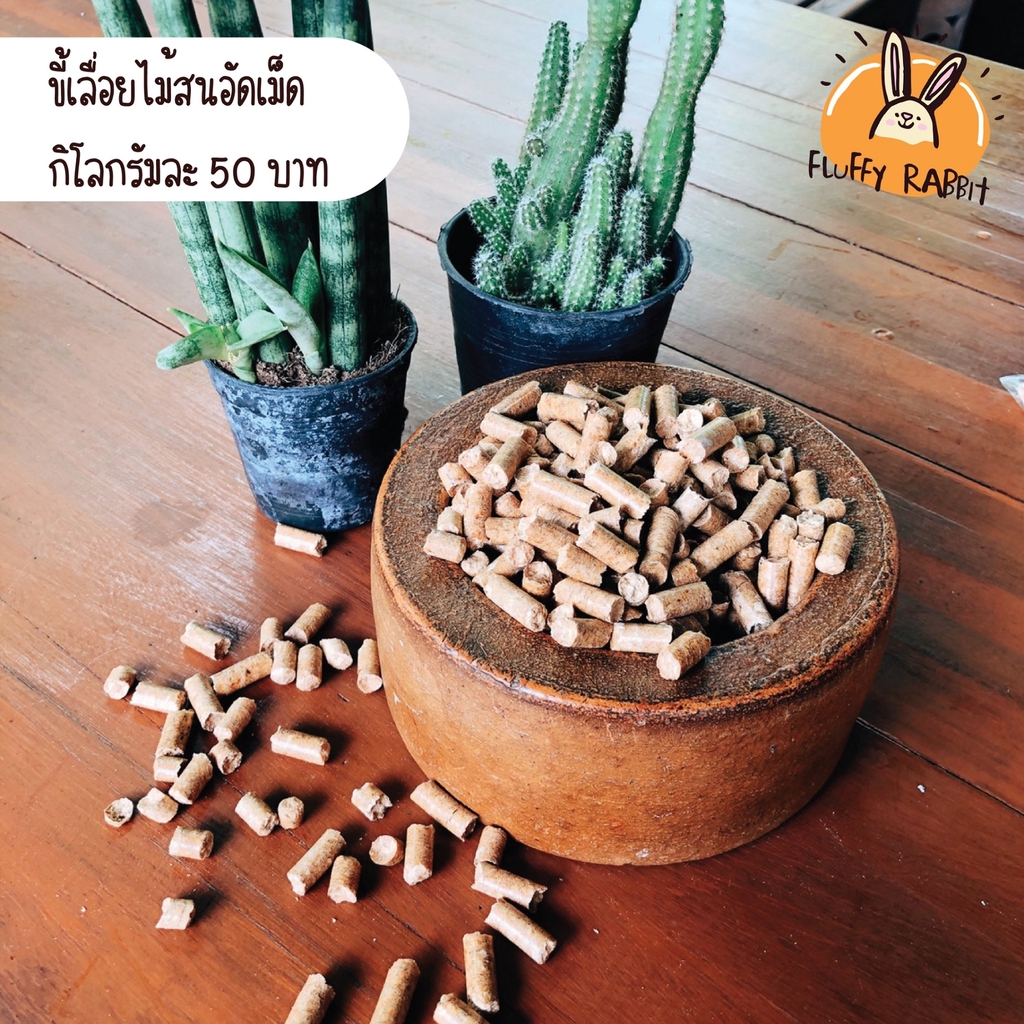 ขี้เลื่อยไม้สนอัดเม็ด-wooden-pellet-1-กิโลกรัม