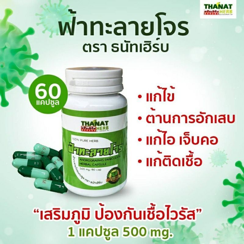 ภาพสินค้าฟ้าทะลายโจร แคปซูล 500mg. จากร้าน pinkye.stores บน Shopee ภาพที่ 2