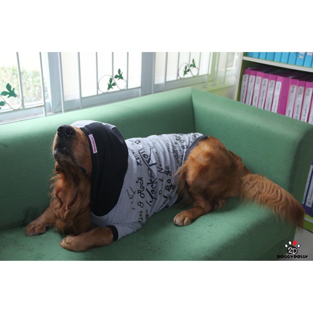 bigdog-doggydolly-เสื้อผ้าหมาใหญ่-แฟชั่นหมาใหญ่-เสื้อโค้ท-winter-เสื้อหนาว-11-45โล-bd095