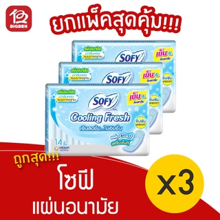 [3 ห่อ] Sofy โซฟี คูลลิ่งเฟรช แผ่นอนามัย แบบมาตรฐาน มีกลิ่นหอม 14 ชิ้น 8851111285013