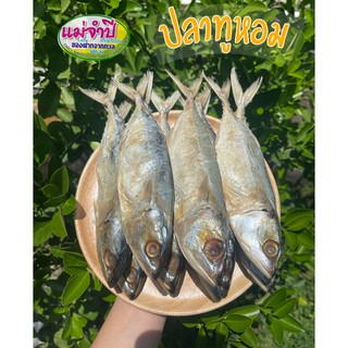 ภาพขนาดย่อของภาพหน้าปกสินค้าปลาทูหอม สด สะอาด อาหารทะเล  อาหารทะเลแห้ง หมึกแห้ง ปลาเค็ม ปลาทู ปลาหอม จากร้าน maejampee_seafood บน Shopee