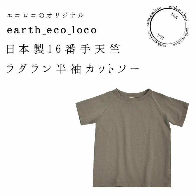สินค้านำเข้าจากญี่ปุ่นแบรดน์-earth-eco-loco