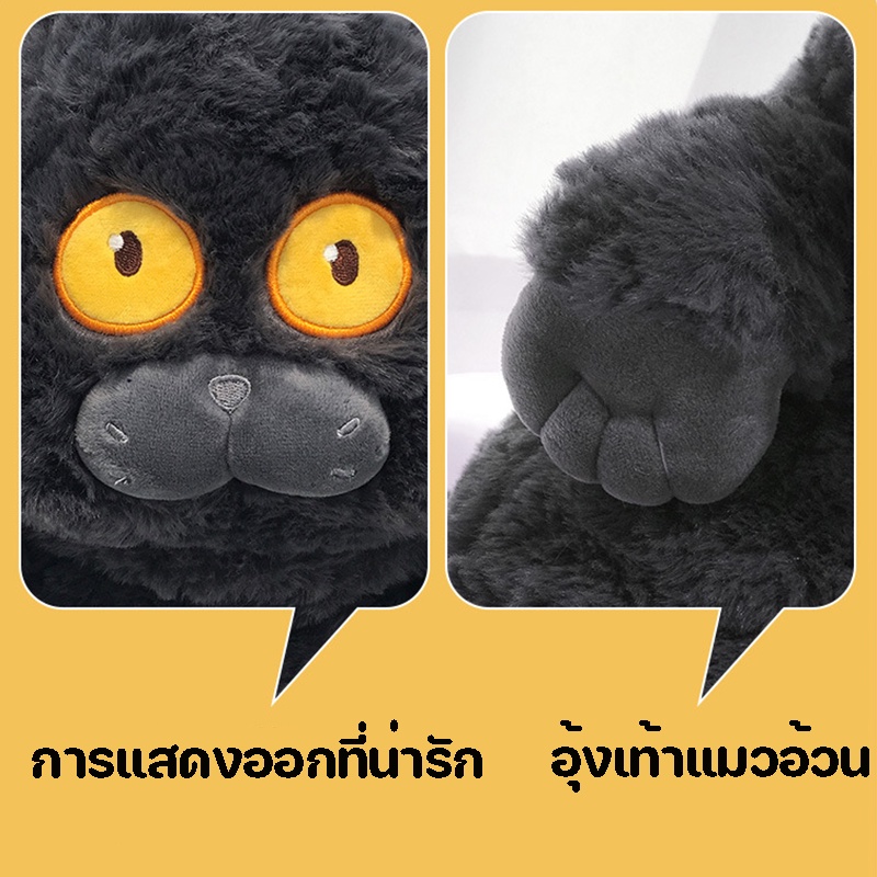 ตุ๊กตา-แมวดำ-ของเล่นตุ๊กตา-ตุ๊กตาแมว-แมวน่ารัก-ตุ๊กตาแต่งห้อง-ของขวัญเด็ก