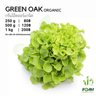 ราคากรีนโอ๊คออร์แกนิค Organic Green Oak มาตรฐานออร์แกนิค IFOAM ผักสลัด ผักสด เก็บ-แพ็ค-ส่ง เก็บใหม่ทุกออเดอร์