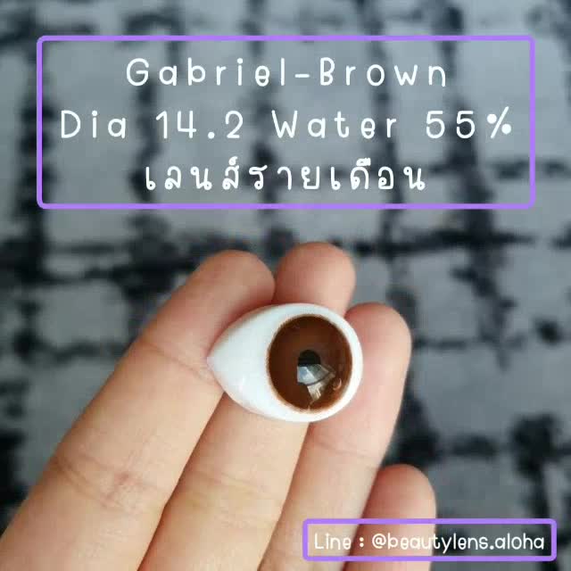 gabriel-brown-gray-สายตา-00-700-รายเดือน