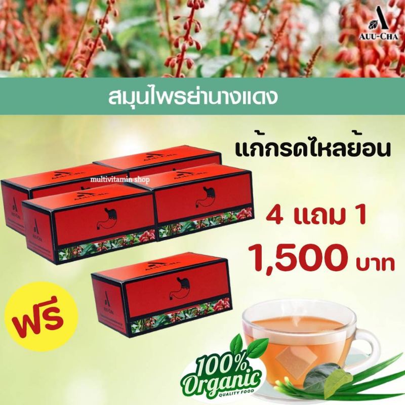 auu-cha-อู่ชา-ชาลดกรดไหลย้อน-ชาแก้กรดไหลย้อน-สมุนไพรลดกรดไหลย้อน-สมุนไพรแก้กรดไหลย้อน-สมุนไพรย่านางแดง