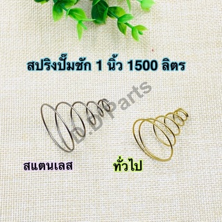 ภาพขนาดย่อของภาพหน้าปกสินค้าสปริงปั๊มชัก 1 นิ้ว 1500 ลิตร (สแตนเลส/ทั่วไป) จากร้าน ddparts2020 บน Shopee