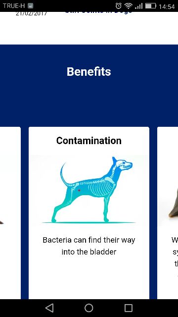 urinaid-chewable-อาหารเสริมสุนัขกระเพาะฉี่อักเสบ-อาหารเสริมสุนัข-อาหารเสริมสุนัขฉี่กระปริบกระปรอย-อาหารเสริมกระเพาะฉี่