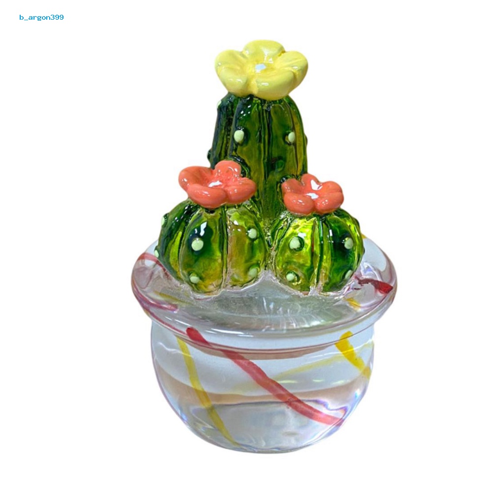 ne-cactus-ornament-transparent-visible-cactus-figurine-eye-catching