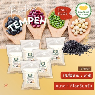 Tempeh Fresh เทมเป้ สด รสชาติ 4 สหาย +งาดำ | Shopee Thailand