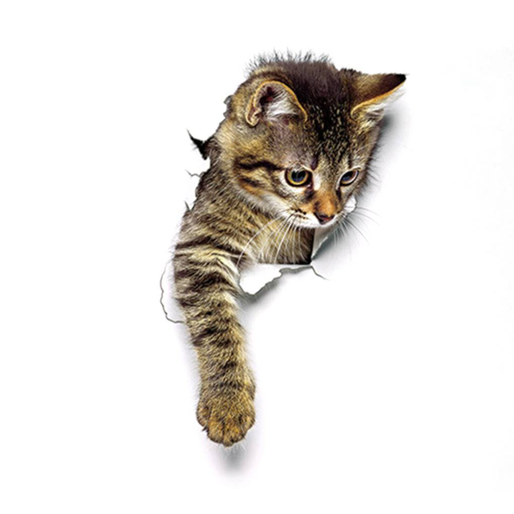 สติกเกอร์-diy-รูปแมว-3d-สำหรับติดในห้องน้ำ-ประดับห้องเด็ก