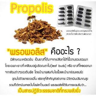 ภาพขนาดย่อของภาพหน้าปกสินค้าPROPOLISโปรพอลิส30แคปซูล ความงามจากธรรมชาติลดสิวอักเสบเสริมภูมิคุ้มกันต้านหวัด จากร้าน poyfaishop บน Shopee ภาพที่ 3