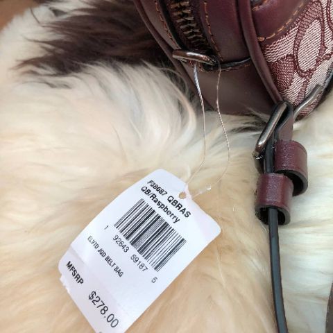 สด-ผ่อน-คาดอก-coach-f38687-ivie-convertible-belt-bag-in-signature-jacquard-bq-raspberry